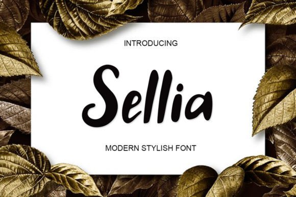 How Sellia Brought Fresh Energy to a Café’s Branding