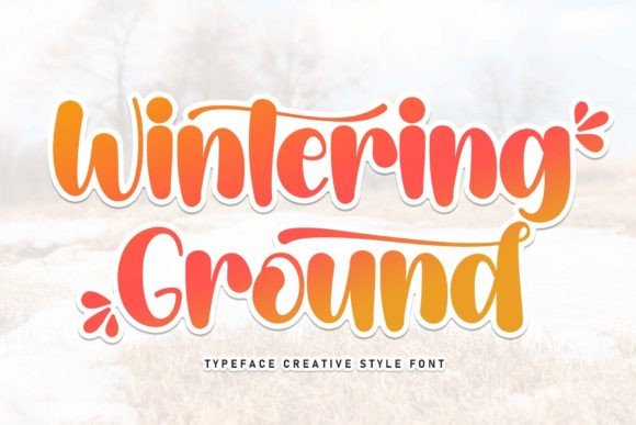 How Wintering Ground Transformed My Brand’s Look