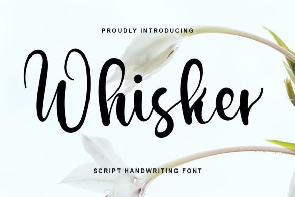 Whisker: A Dainty Script Font for Crafters & Small Product Makers